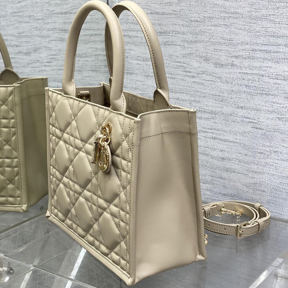 Small D10r Book Tote(HIGH-END GRADE)