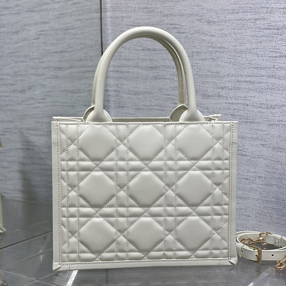 Small D10r Book Tote(HIGH-END GRADE)