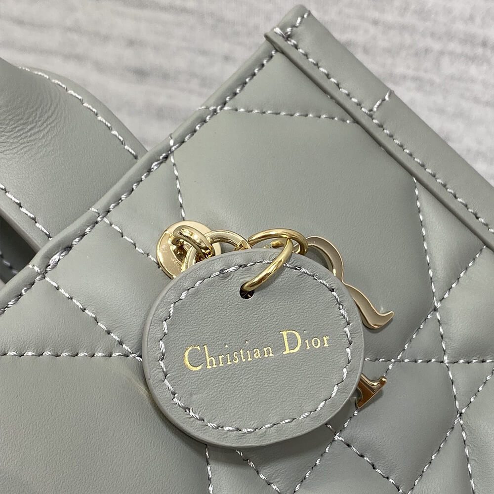 Mini D10r Book Tote(High-end Grade)