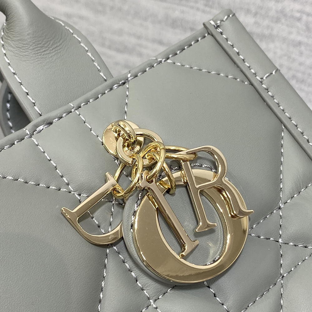 Mini D10r Book Tote(High-end Grade)