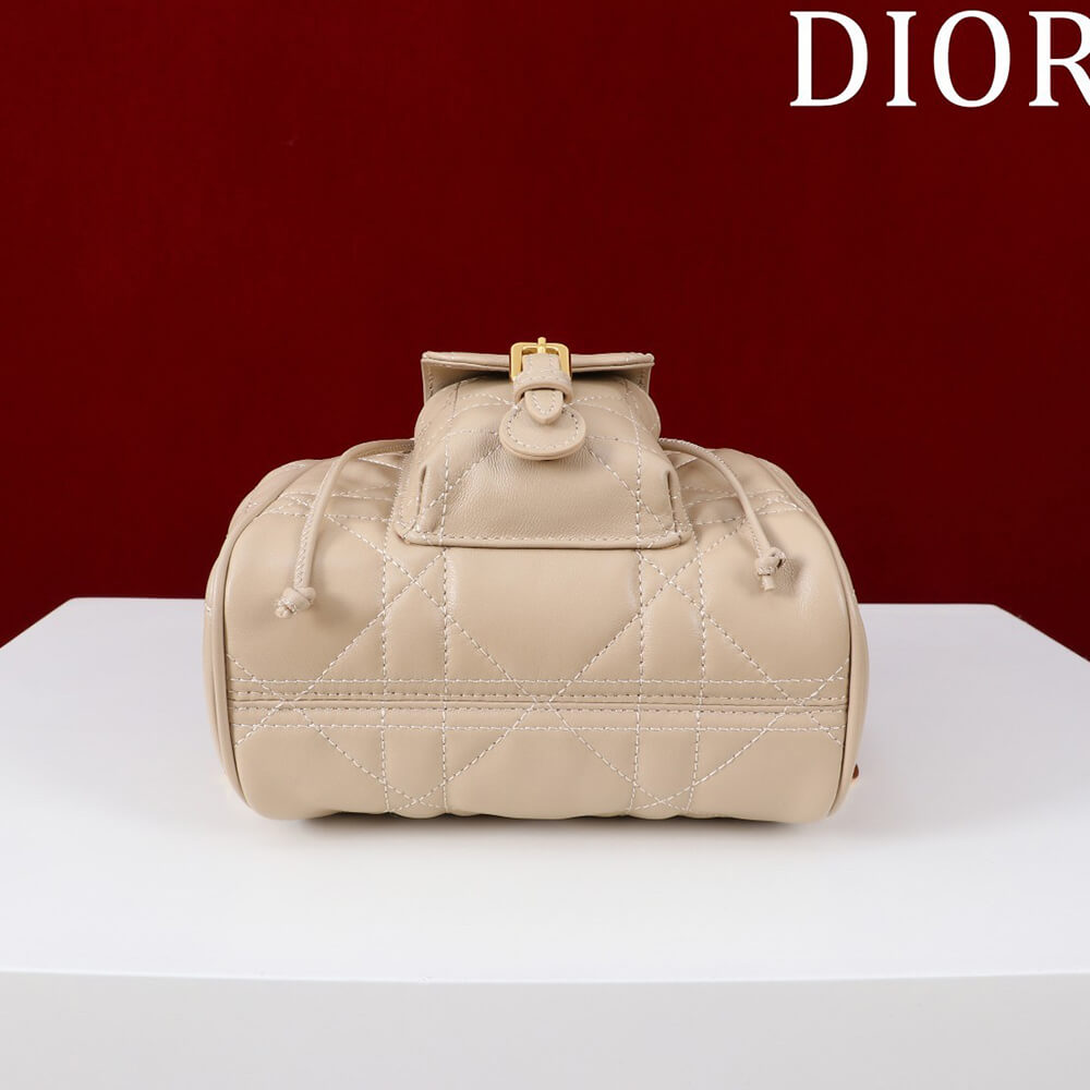 Small D10r Caro Backpack(HIGH-END GRADE)