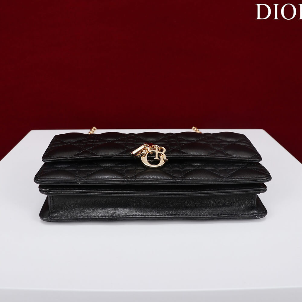 My D10r Mini Bag(High-end Grade)