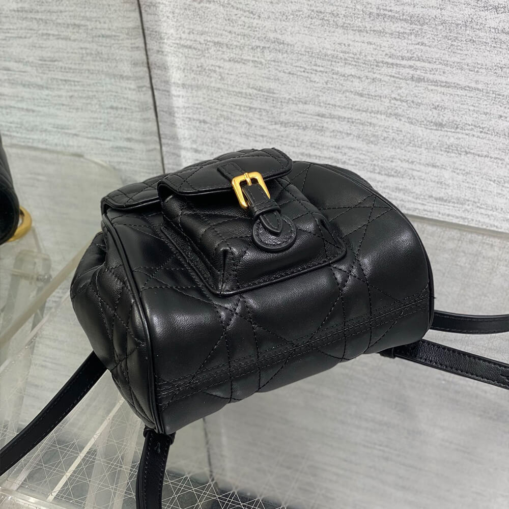 Small D10r Caro Backpack(HIGH-END GRADE)