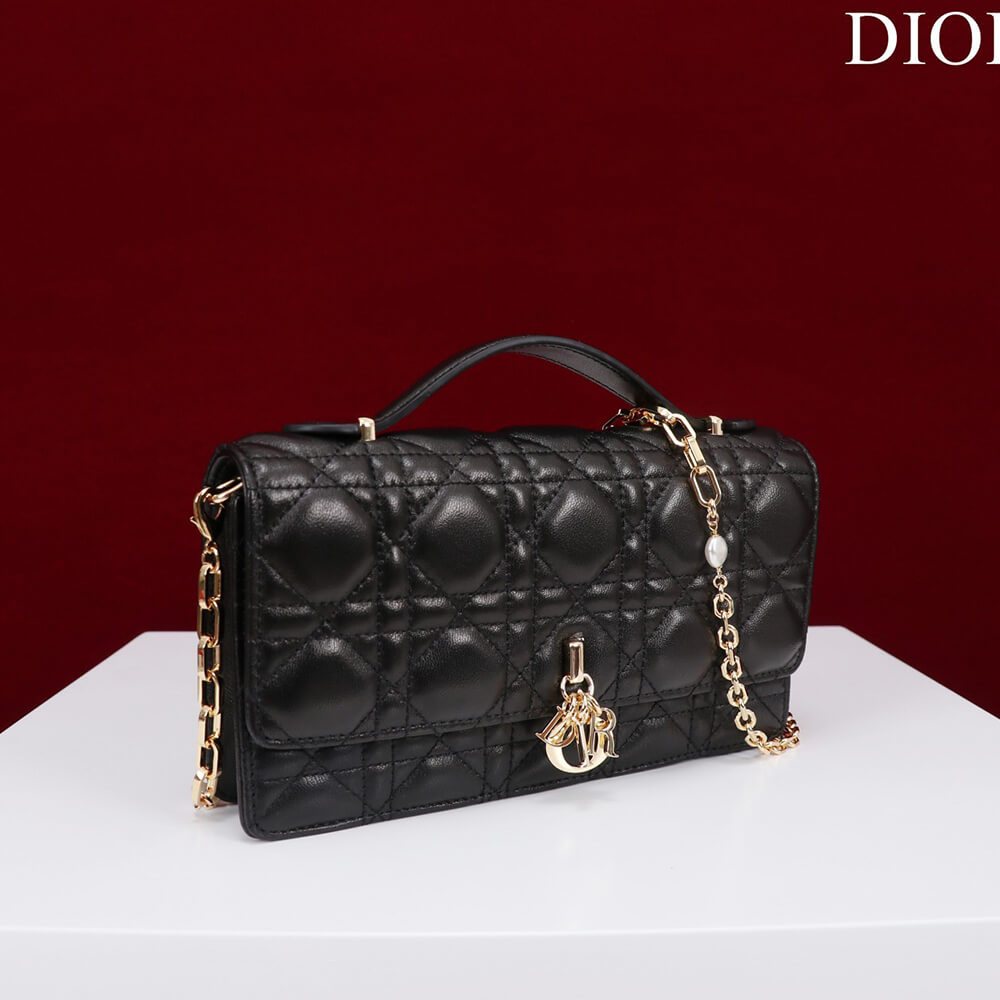 My D10r Mini Bag(High-end Grade)