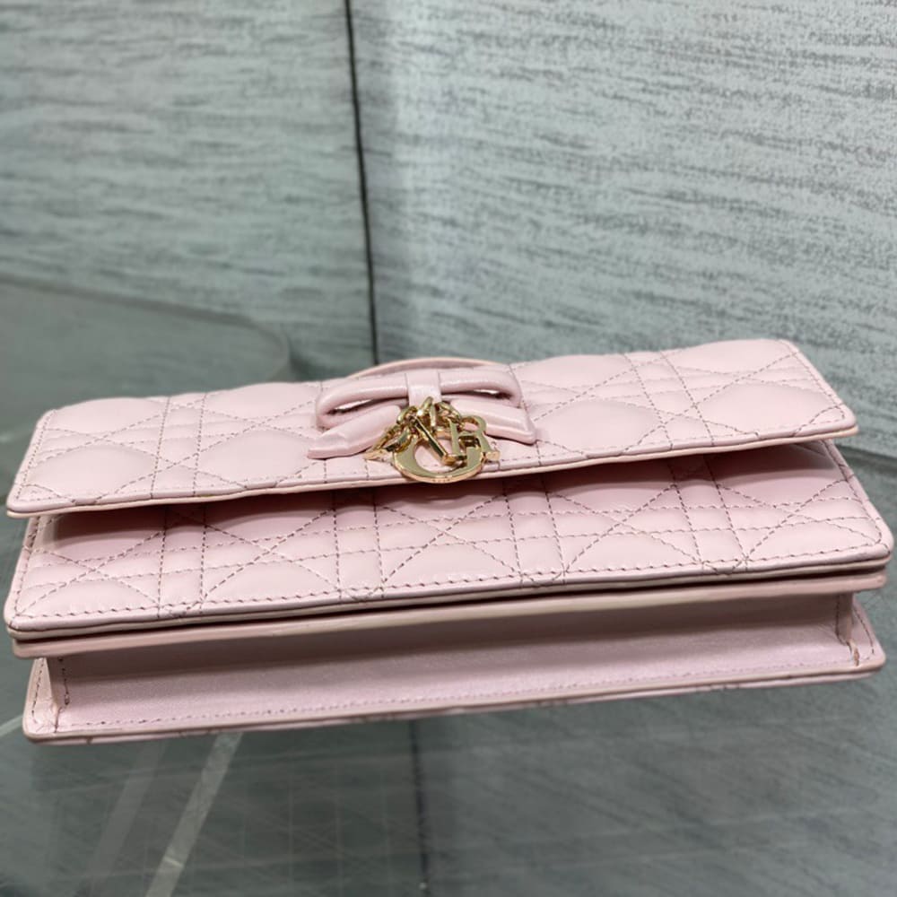 My D10r Mini Bag(HIGH-END GRADE)